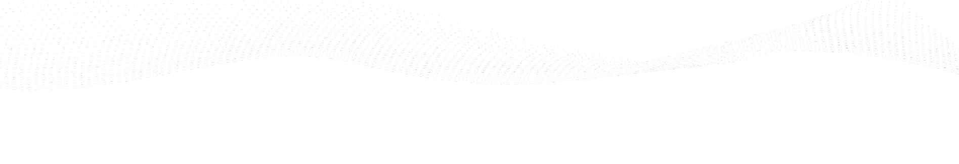 Lineas Blancas y Puntos